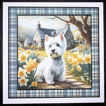 Daffodil Garden Westie by Marion Kimberley-Scott