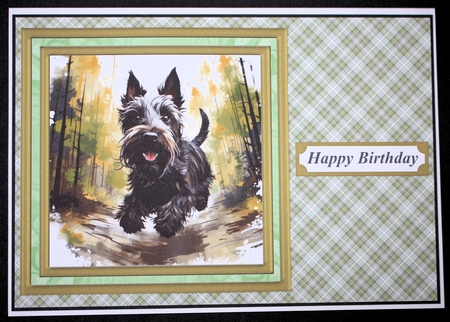 Woodland Scottish terrier card front 2 by Marion Kimberley-Scott