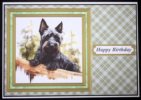 Woodland Scottish terrier card front 7 by Marion Kimberley-Scott