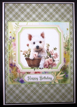 Cute floral Westie card front 16 by Marion Kimberley-Scott