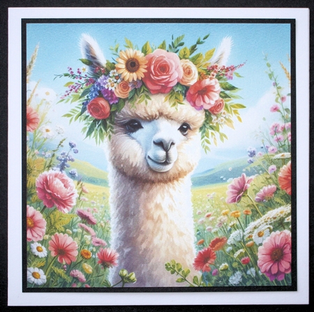 Floral Corwn Alpacas  by Marion Kimberley-Scott