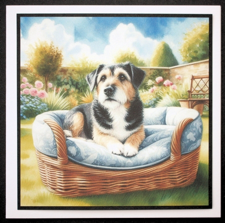 Golden Days Dogs by Marion Kimberley-Scott