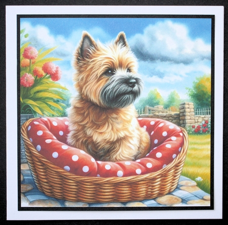 Summer Days Dogs 6 by Marion Kimberley-Scott