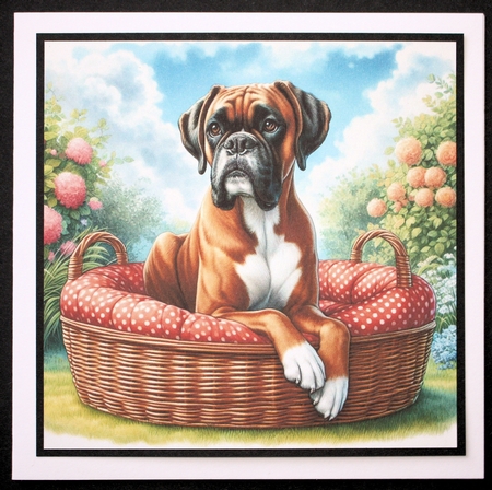 Summer Days Dogs 8 by Marion Kimberley-Scott