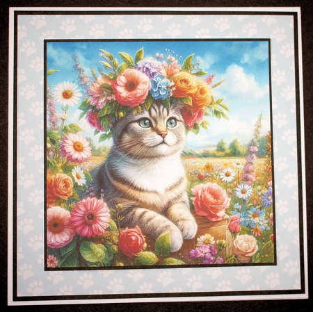 Flower Crown Cat  by Marion Kimberley-Scott