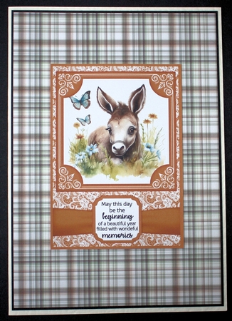 6x6 and 5x7 Orange floral donkey card fronts 1 by Marion Kimberley-Scott