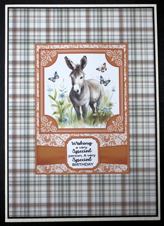 6x6 and 5x7 Orange floral donkey card fronts 2 by Marion Kimberley-Scott