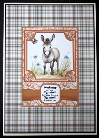 6x6 and 5x7 Orange floral donkey card fronts 3 by Marion Kimberley-Scott