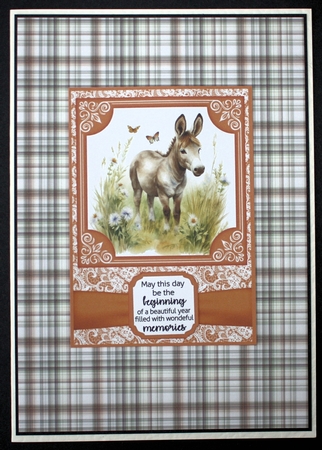 6x6 and 5x7 Orange floral donkey card fronts 4 by Marion Kimberley-Scott