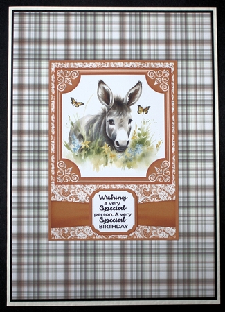6x6 and 5x7 Orange floral donkey card fronts 5 by Marion Kimberley-Scott