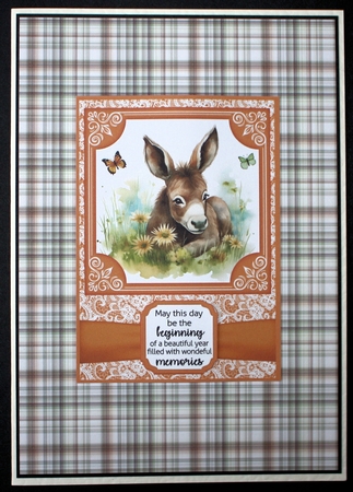 6x6 and 5x7 Orange floral donkey card fronts 6 by Marion Kimberley-Scott