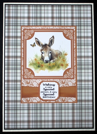 6x6 and 5x7 Orange floral donkey card fronts 7 by Marion Kimberley-Scott