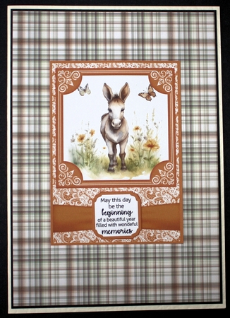 6x6 and 5x7 Orange floral donkey card fronts 8 by Marion Kimberley-Scott