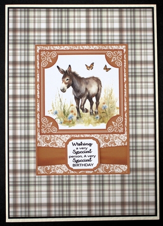 6x6 and 5x7 Orange floral donkey card fronts 9 by Marion Kimberley-Scott