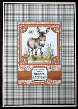 6x6 and 5x7 Orange floral donkey card fronts 10 by Marion Kimberley-Scott