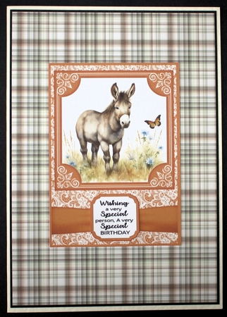 6x6 and 5x7 Orange floral donkey card fronts 11 by Marion Kimberley-Scott