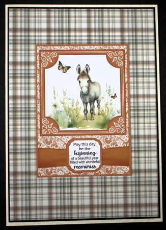 6x6 and 5x7 Orange floral donkey card fronts 12 by Marion Kimberley-Scott