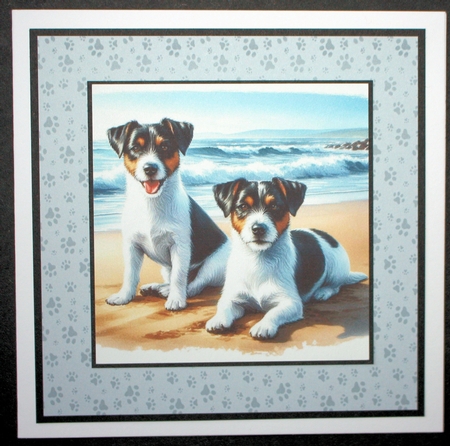 Beach Dogs 3 by Marion Kimberley-Scott