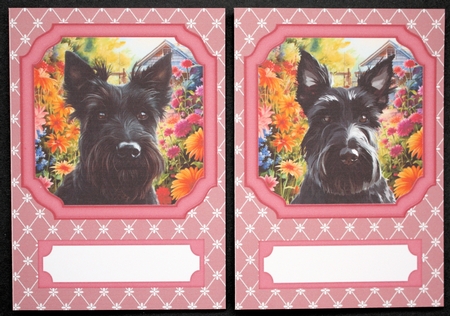 2 Pink floral Scottish terrier notelets 3 by Marion Kimberley-Scott