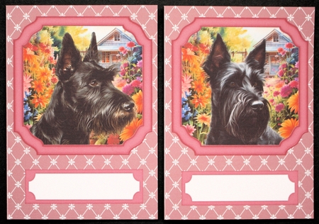 2 Pink floral Scottish terrier notelets 4 by Marion Kimberley-Scott