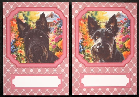 2 Pink floral Scottish terrier notelets 6 by Marion Kimberley-Scott