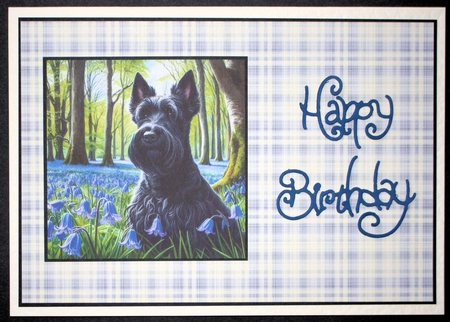 BlueBell Wood Dogs 2 by Marion Kimberley-Scott