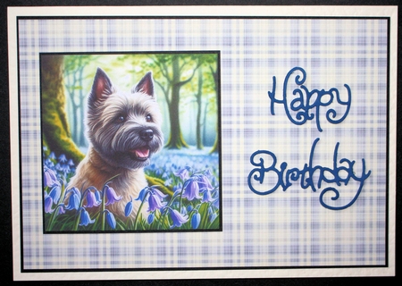 BlueBell Wood Dogs 6 by Marion Kimberley-Scott