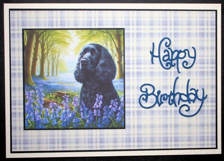 BlueBell Wood Dogs 7 by Marion Kimberley-Scott