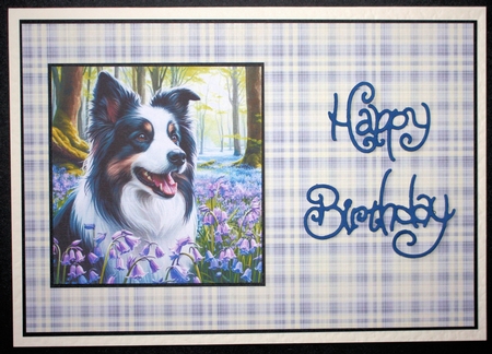 BlueBell Wood Dogs 8 by Marion Kimberley-Scott