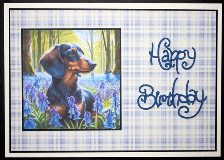 BlueBell Wood Dogs 9 by Marion Kimberley-Scott