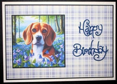 BlueBell Wood Dogs 10 by Marion Kimberley-Scott
