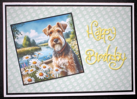 Daisy Pond Dogs 5 by Marion Kimberley-Scott