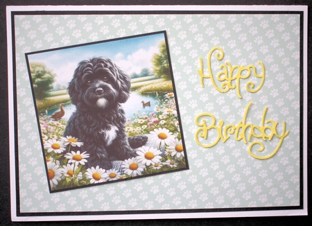 Daisy Pond Dogs 6 by Marion Kimberley-Scott
