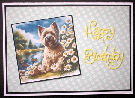 Daisy Pond Dogs 7 by Marion Kimberley-Scott