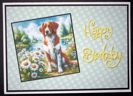 Daisy Pond Dogs 9 by Marion Kimberley-Scott