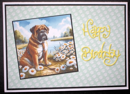 Daisy Pond Dogs 10 by Marion Kimberley-Scott