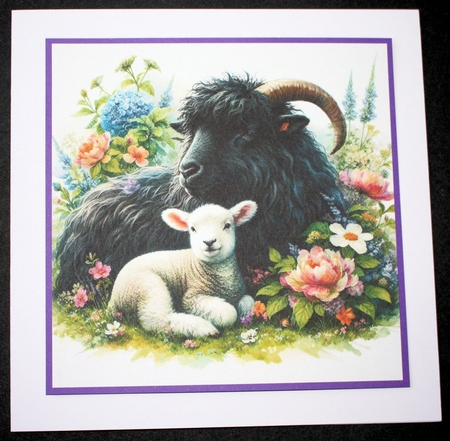 Love Ewe by Marion Kimberley-Scott