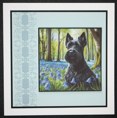 2 Neutral Backgrounds 6 by Marion Kimberley-Scott