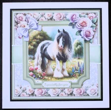 HANDSOME HORSES by Marion Kimberley-Scott