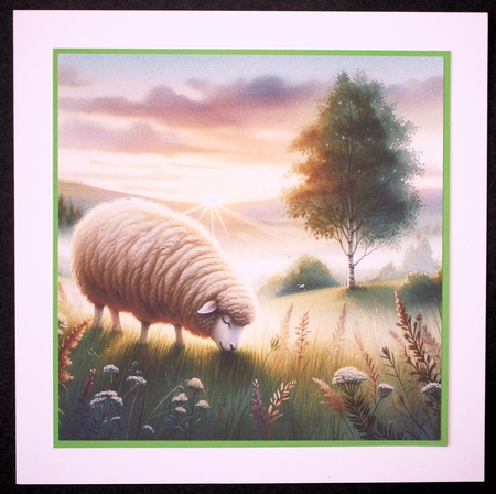 Misty Spring Morning Sheep  by Marion Kimberley-Scott