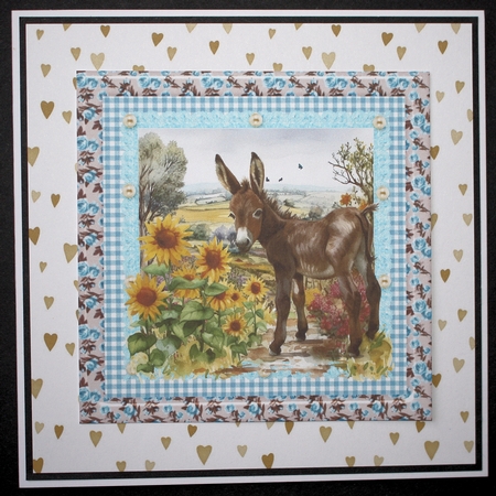 Floral donkey card front 1 by Marion Kimberley-Scott
