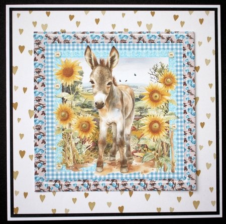 Floral donkey card front 4 by Marion Kimberley-Scott