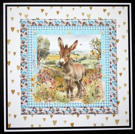 Floral donkey card front 5 by Marion Kimberley-Scott