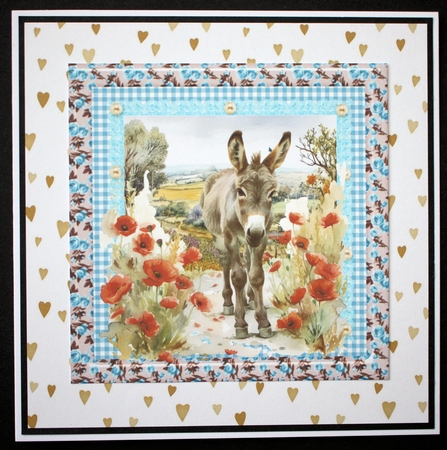 Floral donkey card front 10 by Marion Kimberley-Scott
