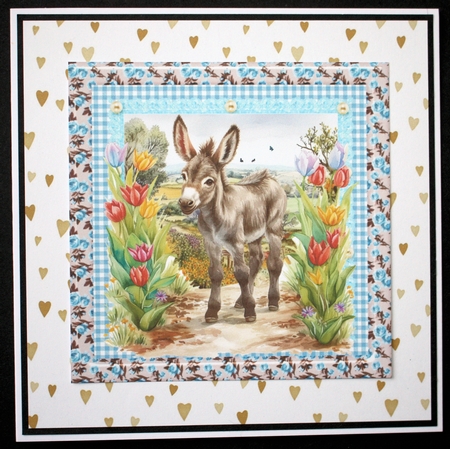 Floral donkey card front 12 by Marion Kimberley-Scott