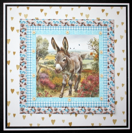 Floral donkey card front 16 by Marion Kimberley-Scott