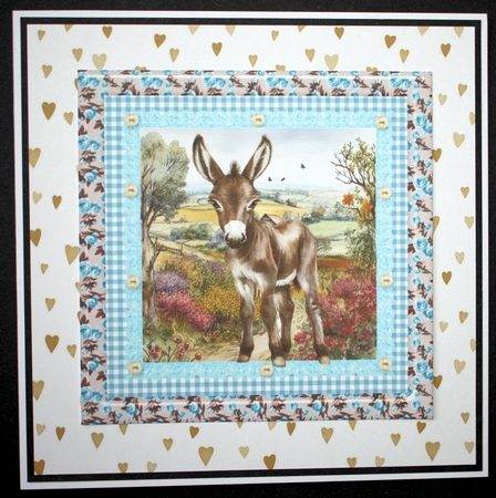 Floral donkey card front 17 by Marion Kimberley-Scott
