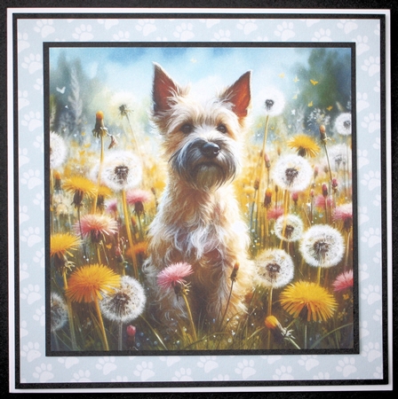 Wishing Meadow Dogs 3 by Marion Kimberley-Scott