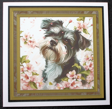 Its a dogs life card front 17 by Marion Kimberley-Scott