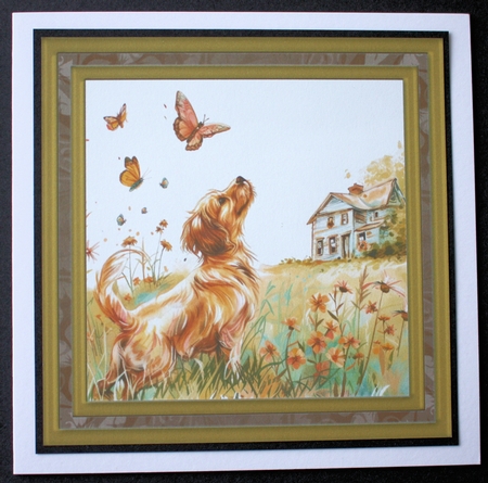 Its a dogs life card front 22 by Marion Kimberley-Scott